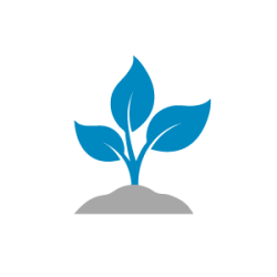 Forming a Business Entity | Picnic Point, Panania, East Hills, Revesby, Padstow, Moorebank and Hammondville